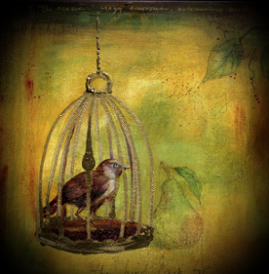 Why Caged Bird Wails More
